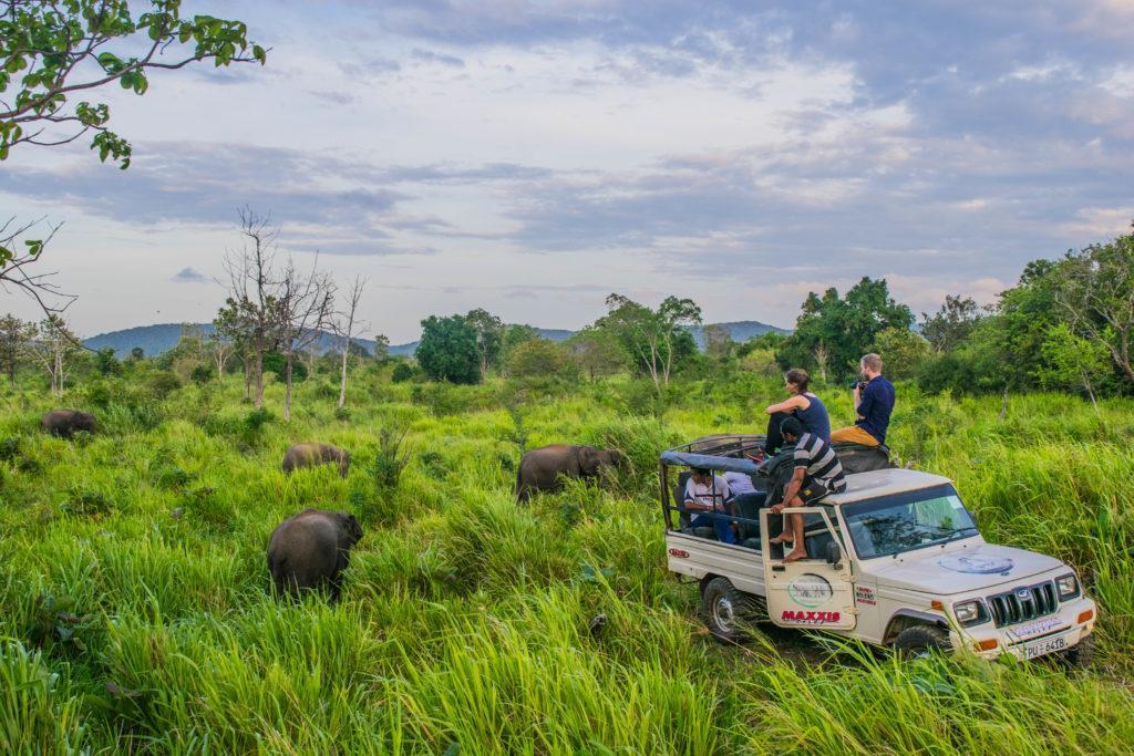 Sundari Eco Village Habarana Bagian luar foto